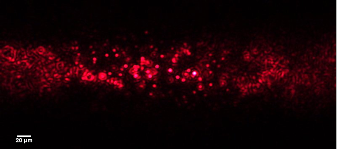 Nanoparticle Tracking Analysis Screenshot